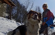 Salita pomeridiana al MONTE SUCHELLO (1541 m) ben innevato da Costa Serina 1l 10 marzo 2016  - FOTOGALLERY